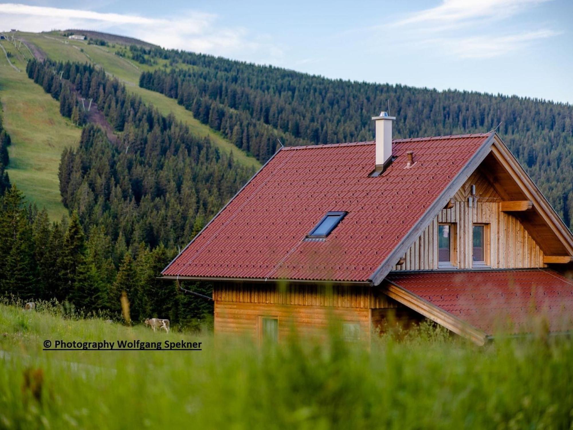 Beautiful Holiday Home In Weinebene With Sauna Posch Alpe Exterior photo