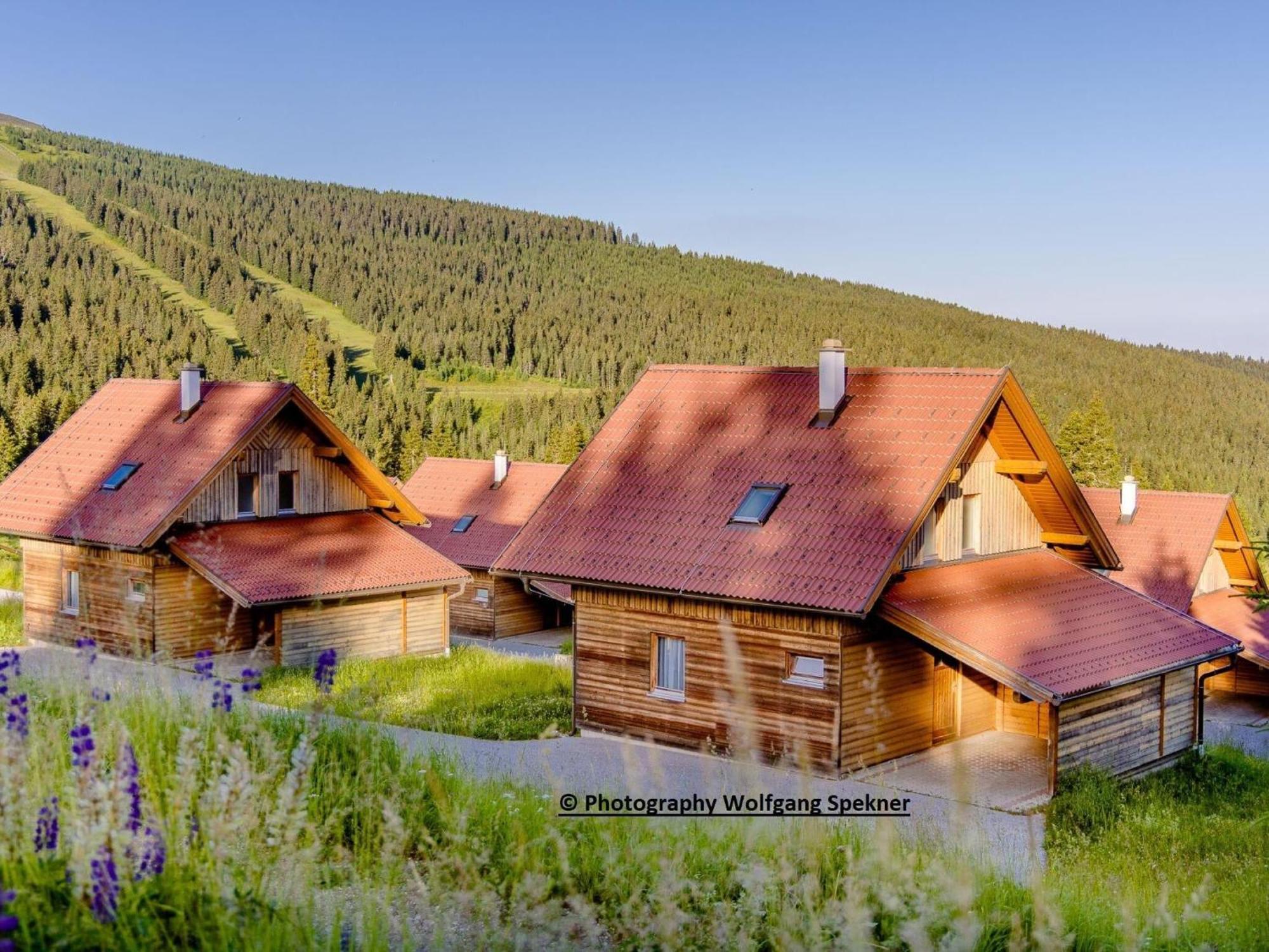 Beautiful Holiday Home In Weinebene With Sauna Posch Alpe Exterior photo