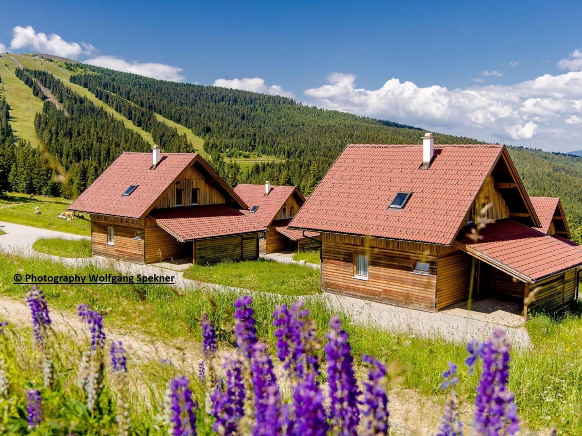 Beautiful Holiday Home In Weinebene With Sauna Posch Alpe Exterior photo