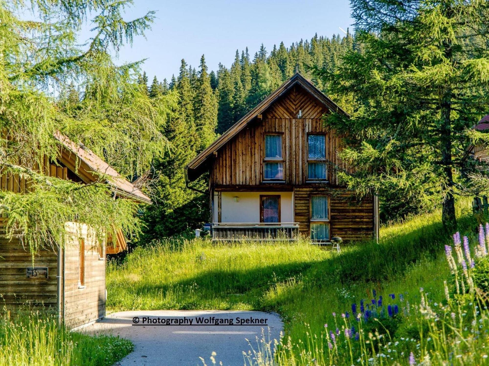 Beautiful Holiday Home In Weinebene With Sauna Posch Alpe Exterior photo